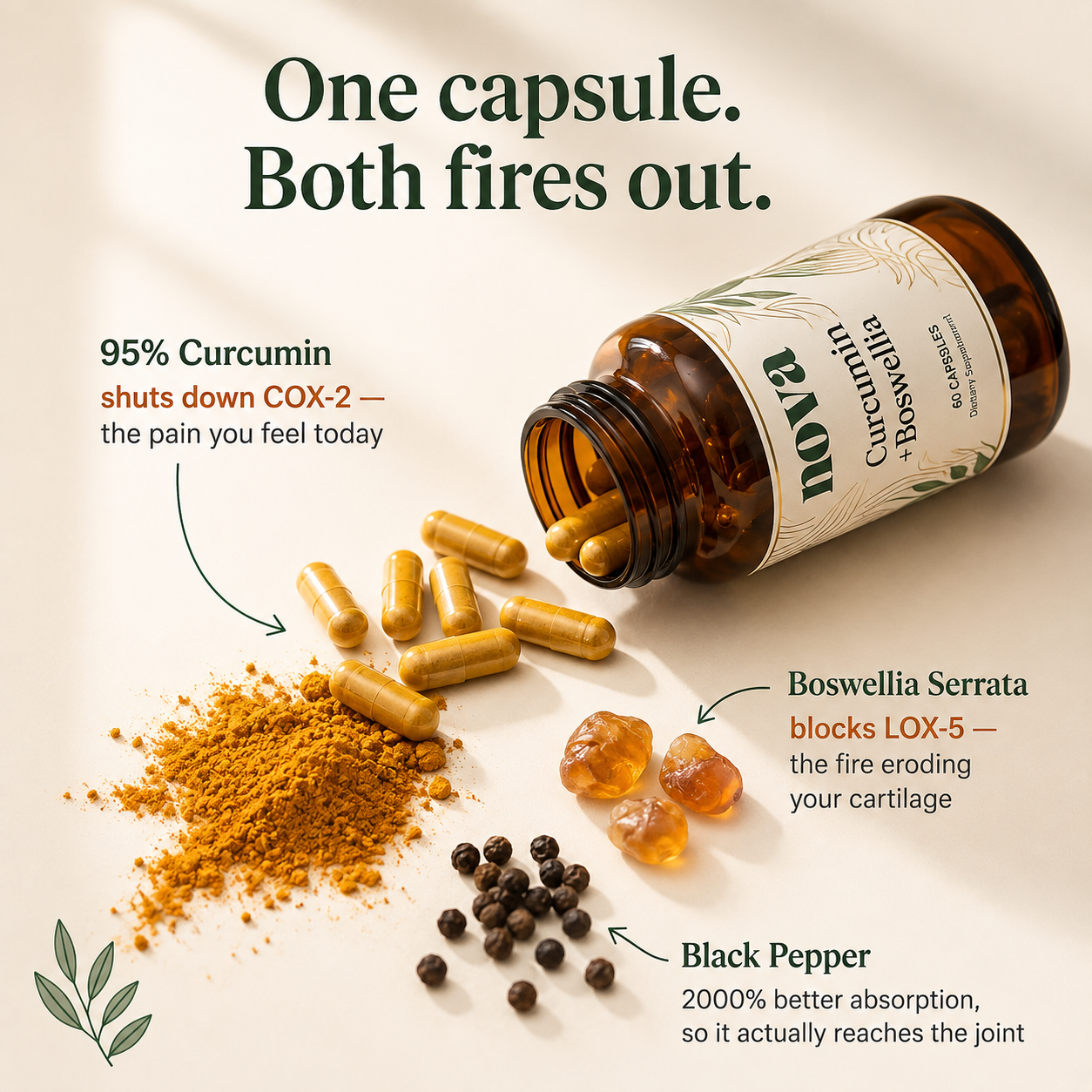 Curcumin + Boswellia Joint Support
