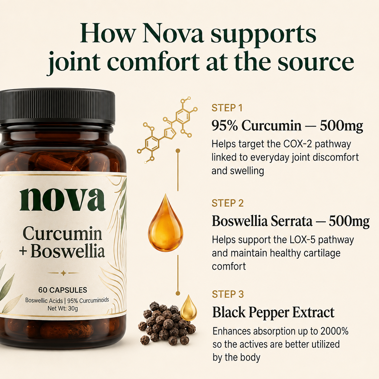 Curcumin + Boswellia Joint Support