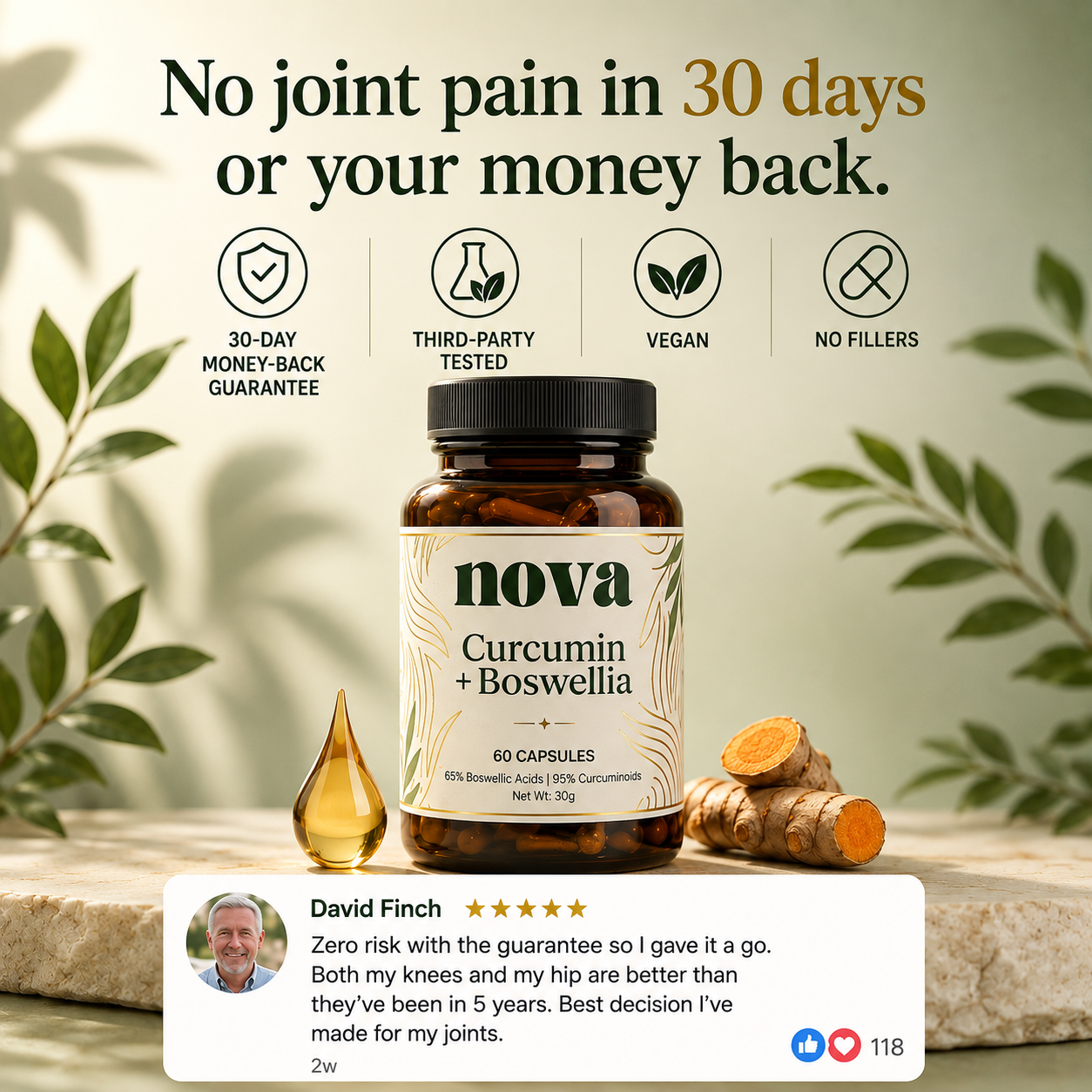Curcumin + Boswellia Joint Support