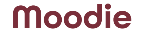 Moodie Intimacy Pillow